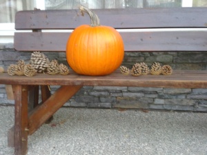 This is some harmless fall decoration in front of our house